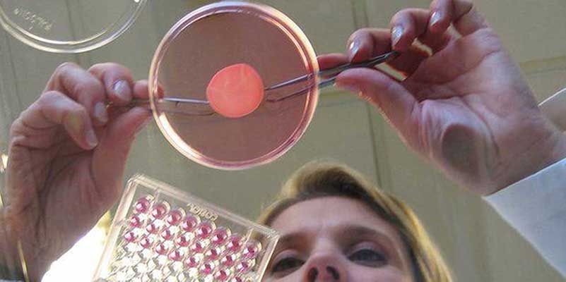Laborante manipuleert stukje kunsthuid in petrischaal
