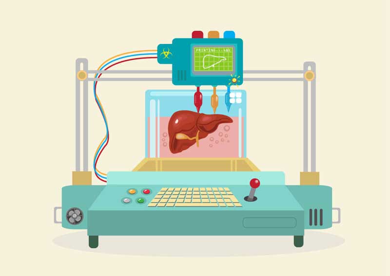 Tekening van een 3D-printer die een lever print