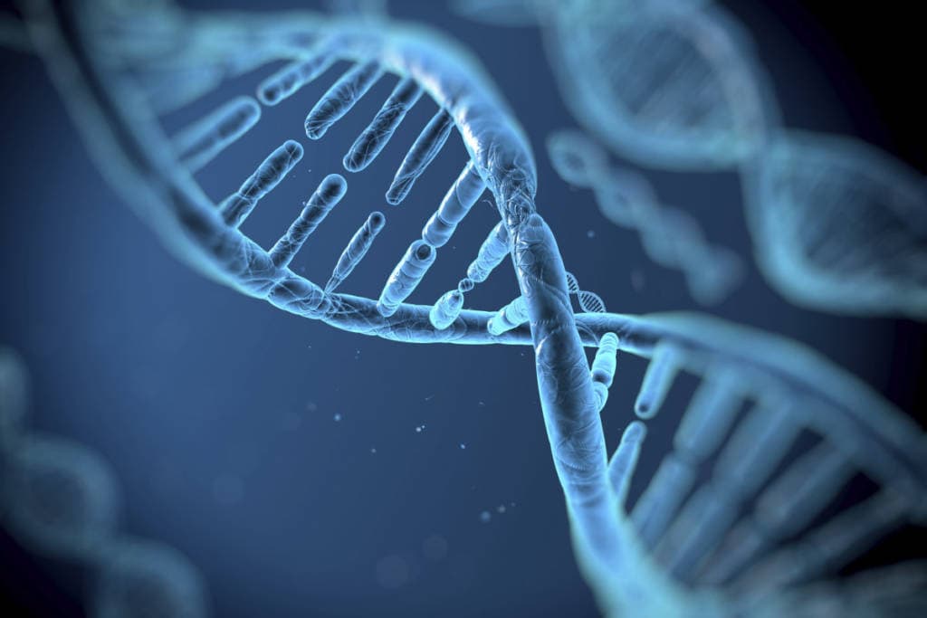  Een digitale afbeelding als representatie van DNA