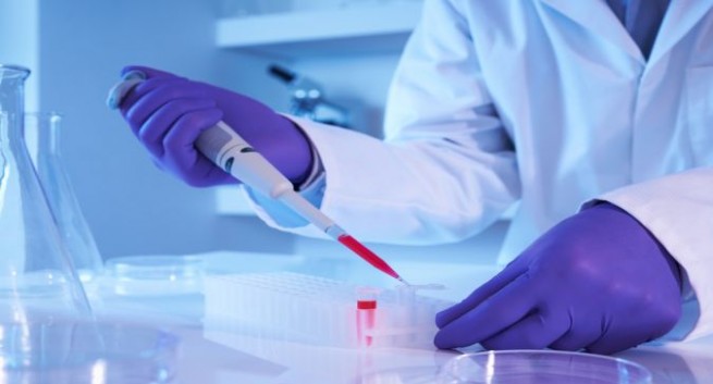 Een persoon in een laboratorium extraheert een rood chemisch goedje uit een reageerbuis met een pipet 