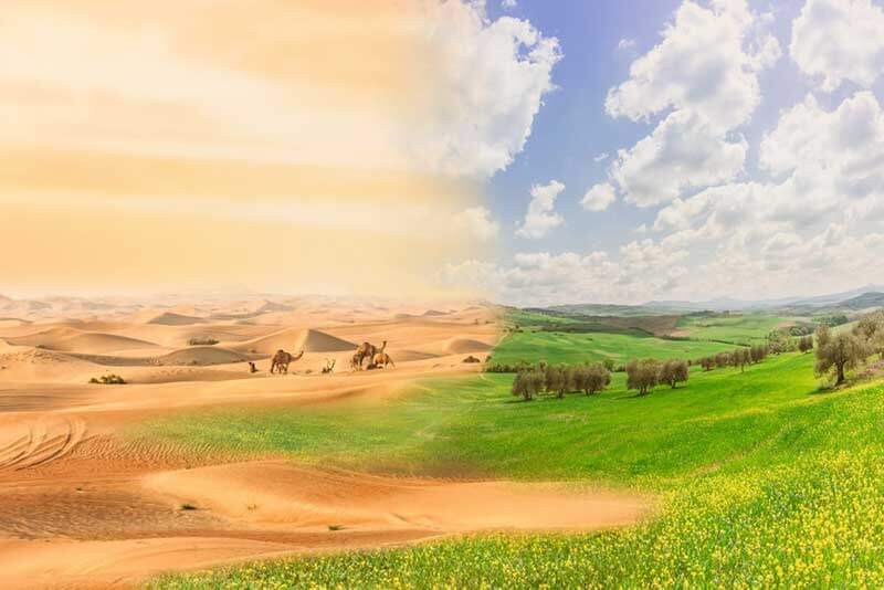 Een landschapsfoto waarop links een woestijn te zien is en rechts een groene weide
