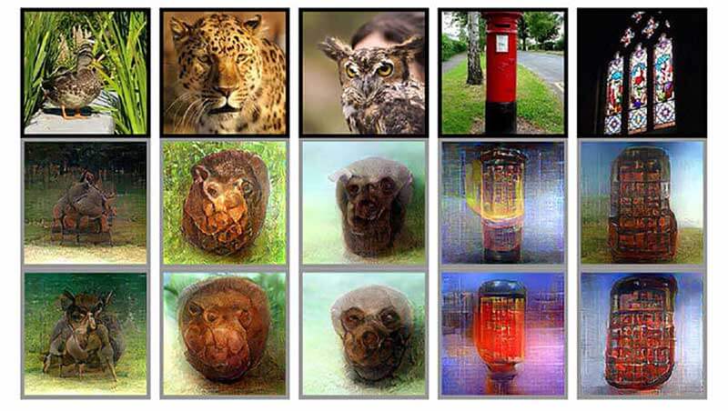 Afbeeldingen van dieren en objecten die tonen wat de hersenen zien