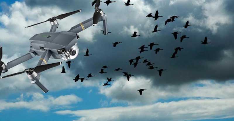 Closeup van een drone in de lucht die een vlucht vogels monitort