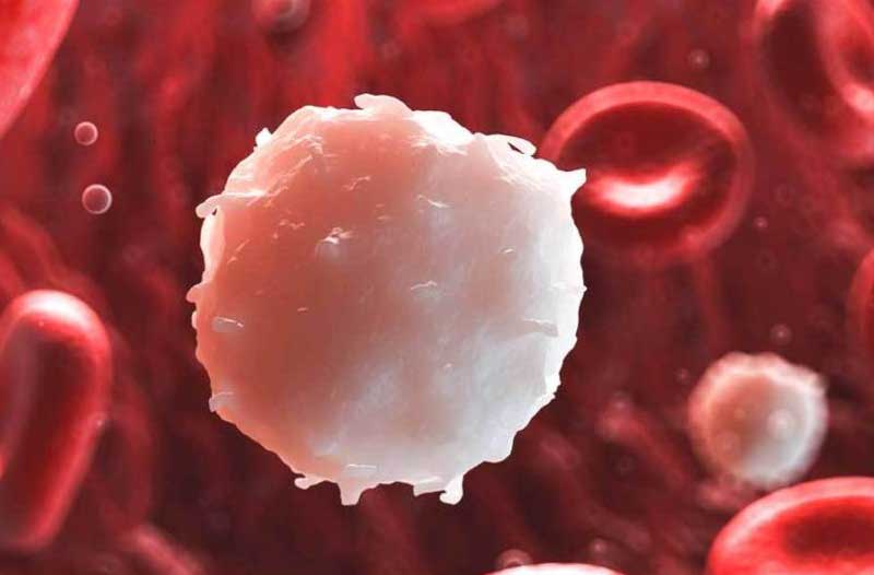 Witte nanorobots in een bloedstroom