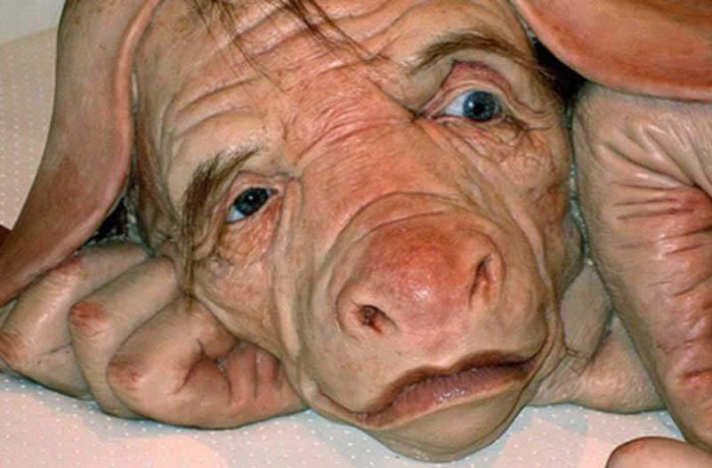 Closeup van een hybride hoofd van een mens en een varken
