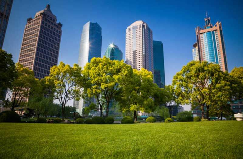 Green lawn with trees, with high-rise buildings in the background
