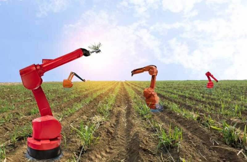 Four robotic arms working in a field