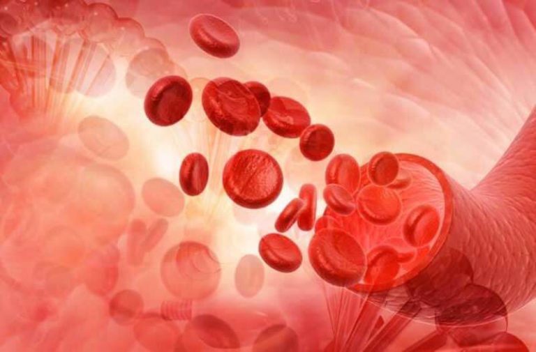 Digitale illustratie van bloed en rode bloedcellen