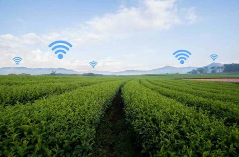 Groen veld met blauwe lucht en wifi-icoontjes