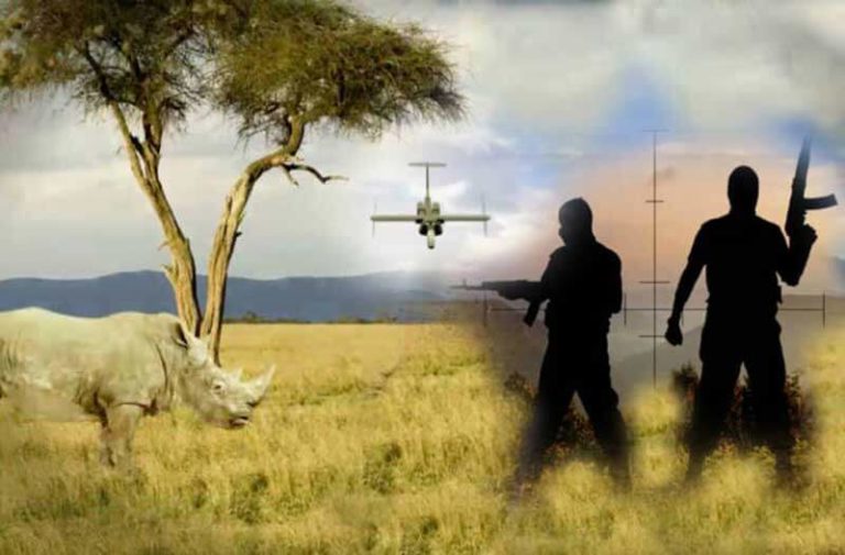 Afrikaans landschap met een neushoorn, twee stropers met geweren en in de verte een drone