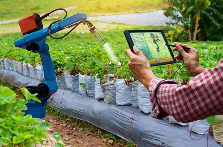 Twee handen houden een tablet vast en besturen een robotarm die planten besproeit