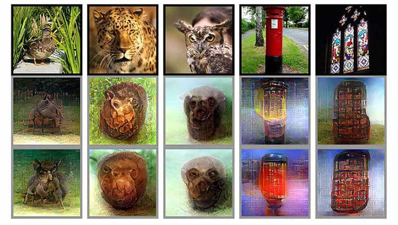  Images of animals and objects showing what the brain sees 