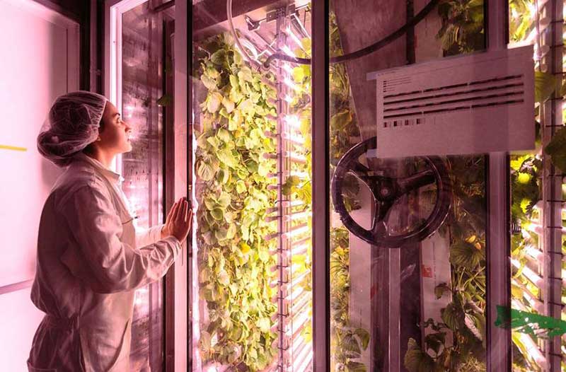 Woman in lab coat opening door to indoor vegetable farm