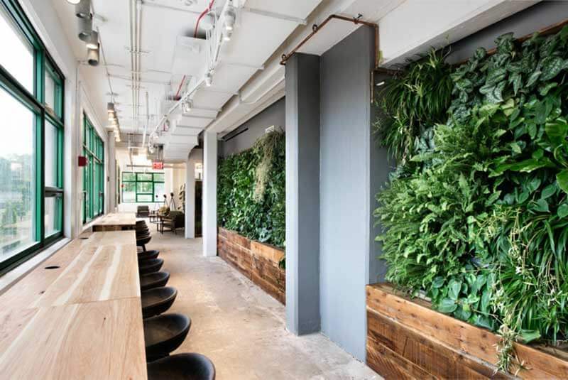 Etsy’s Manhattan office, featuring a workspace area on the left and a wall filled with greenery on the right