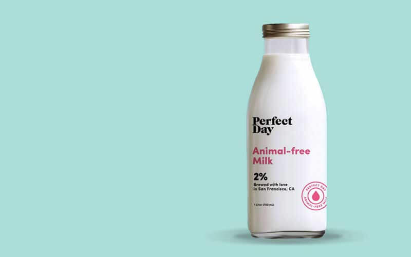 A glass bottle of animal-free milk on a light green background