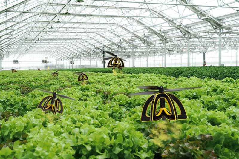 Black and yellow drones hovering over plants in a greenhouse