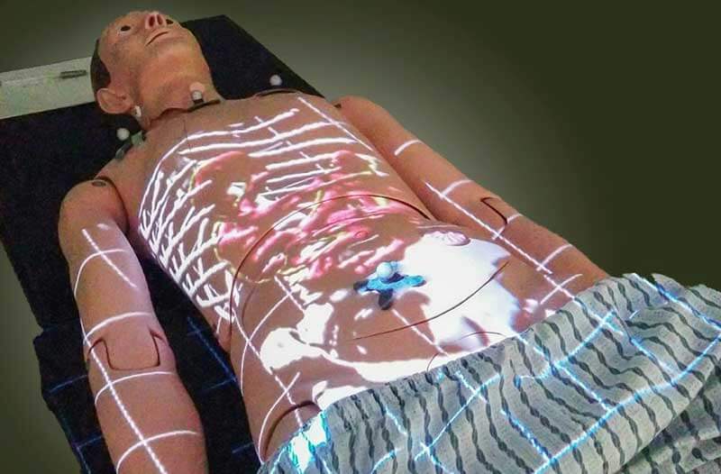 Medical mannequin in a lying position with scanned images of internal organs overlaid on top of it