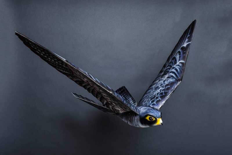 A wing-flapping robot called Robird on a grey background