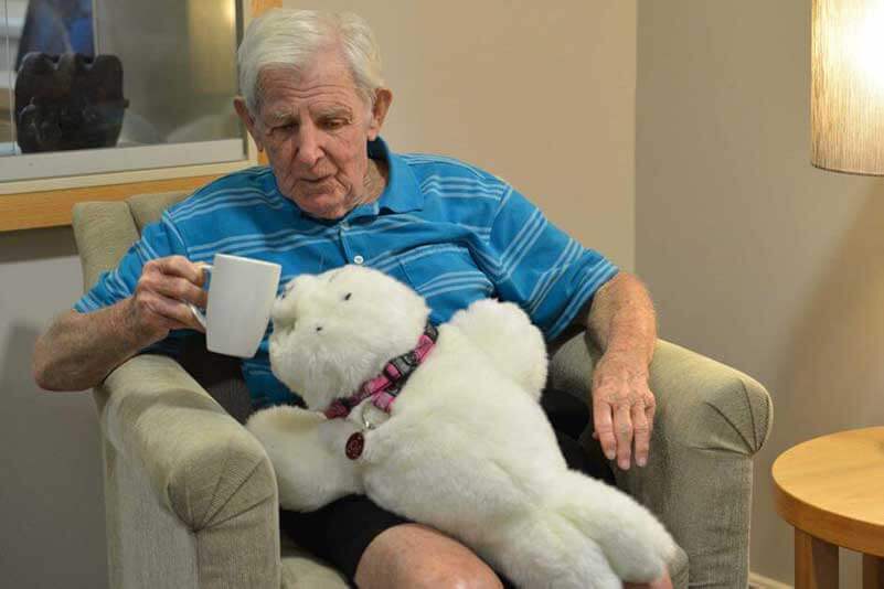 An elderly man sitting and playing with Paro, a therapeutic robot seal