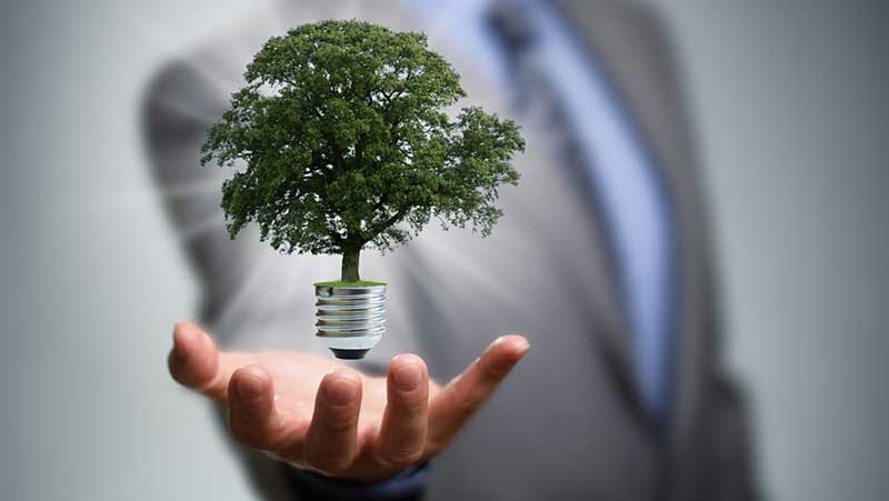 A lightbulb with a tree instead of glass hovering over a hand of a person in a suit