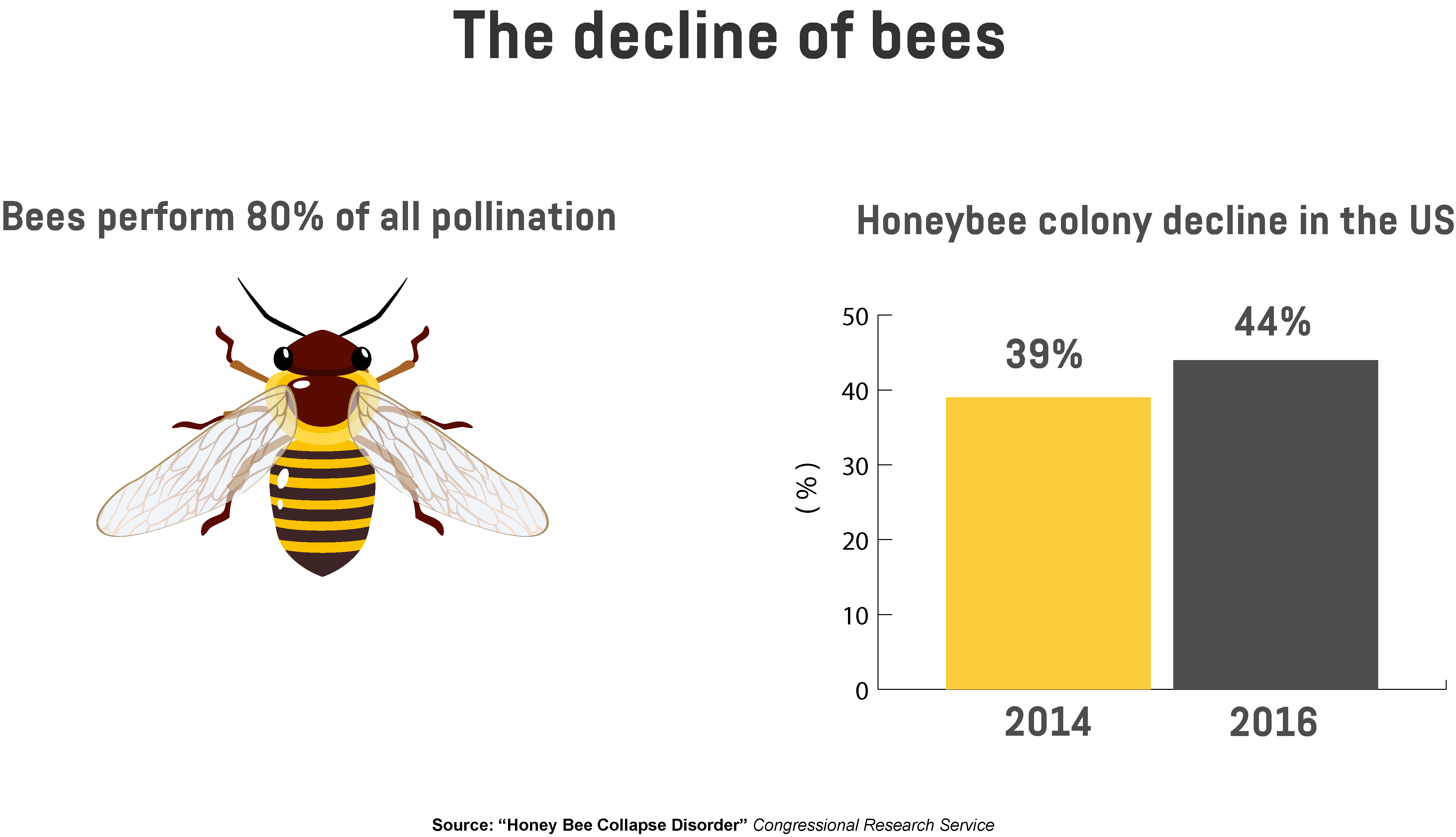 An infographic showing the percentage of pollination conducted by bees and the decline of honeybee colonies in the US for 2014 and 2016.