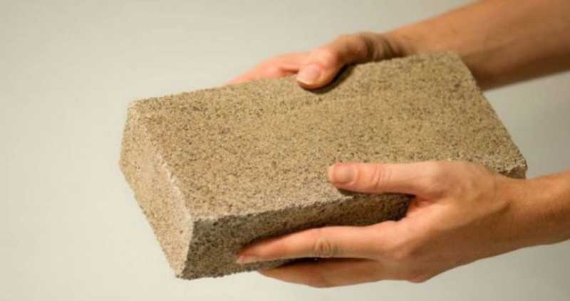  Two hands holding a BioMASON brick
