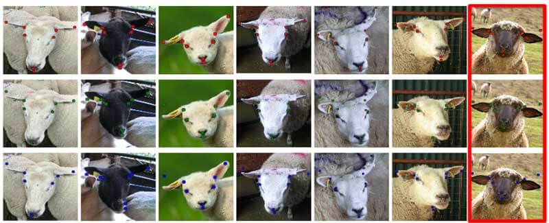 a sequence of images of different sheep with mapped facial features