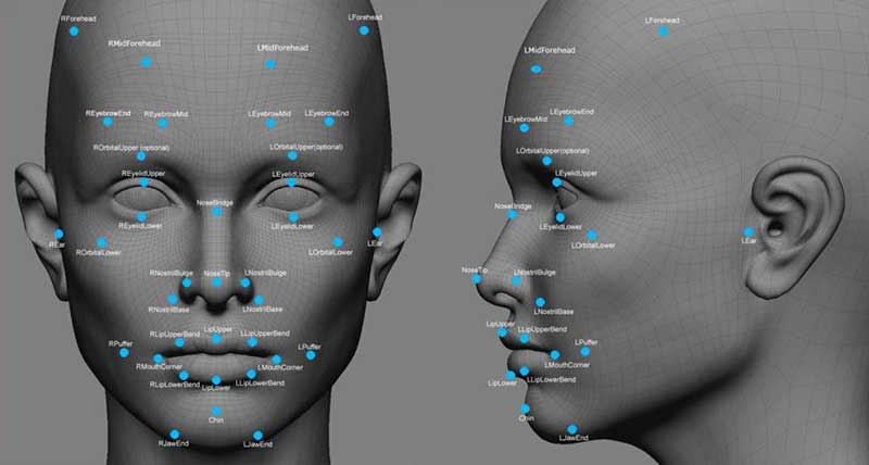 A 3D human face with a mapped front and side profile 