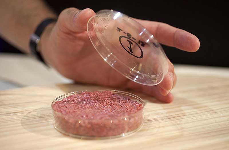 Hand opening petri dish with lab-created meat