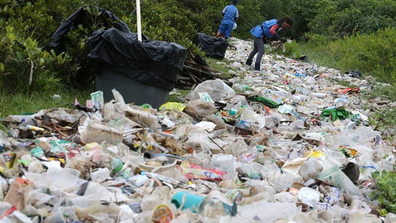 Two people cleaning garbage spread out on grass between bushes