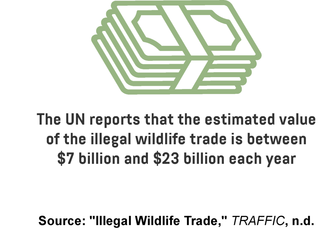  An infographic showing the estimated value of the illegal wildlife trade.