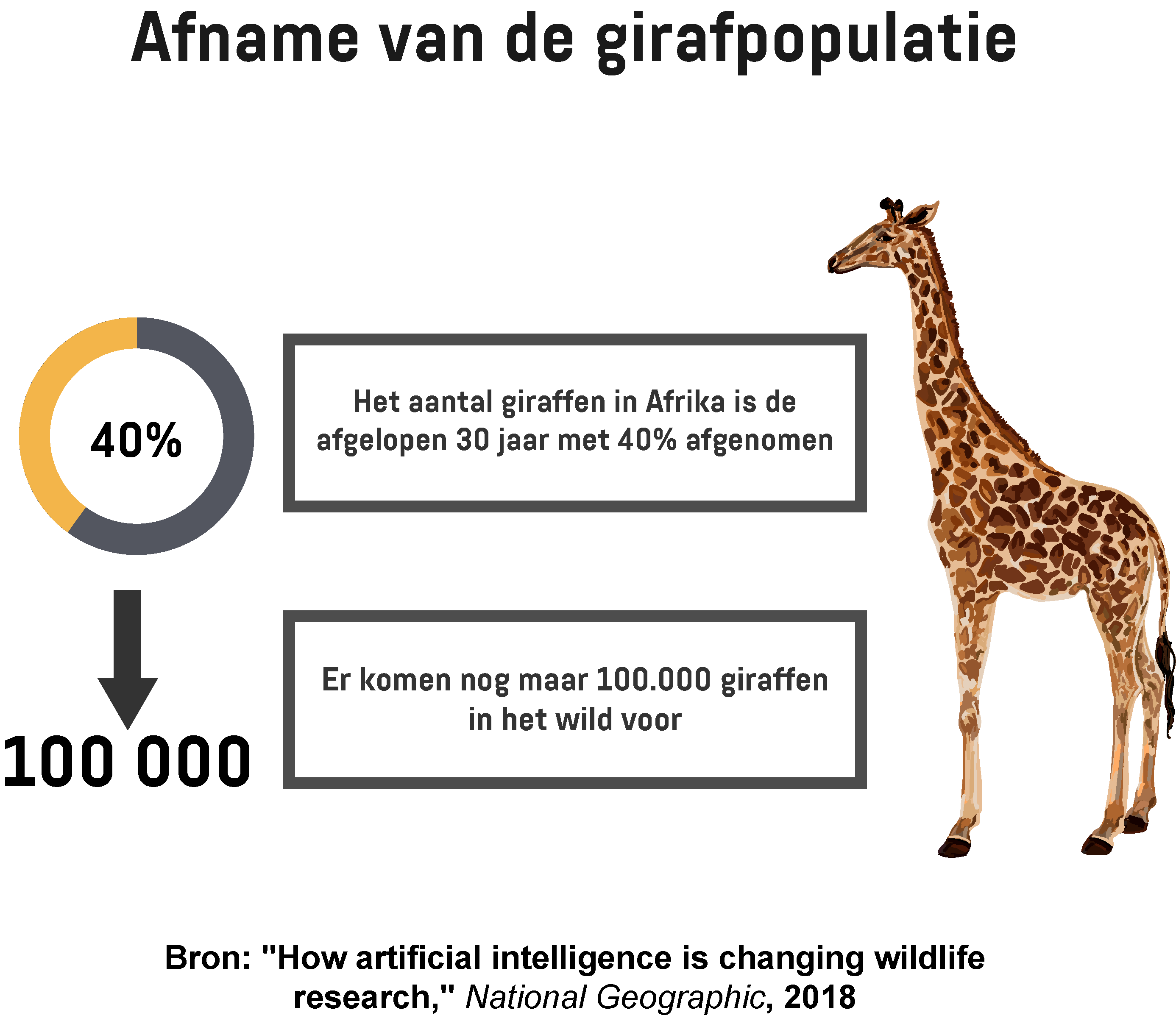  Een infographic toont het teruglopende aantal giraffen in Afrika