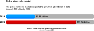  A horizontal bar graph representing the value of the global stem cells market in 2018 and its predicted value by 2026.